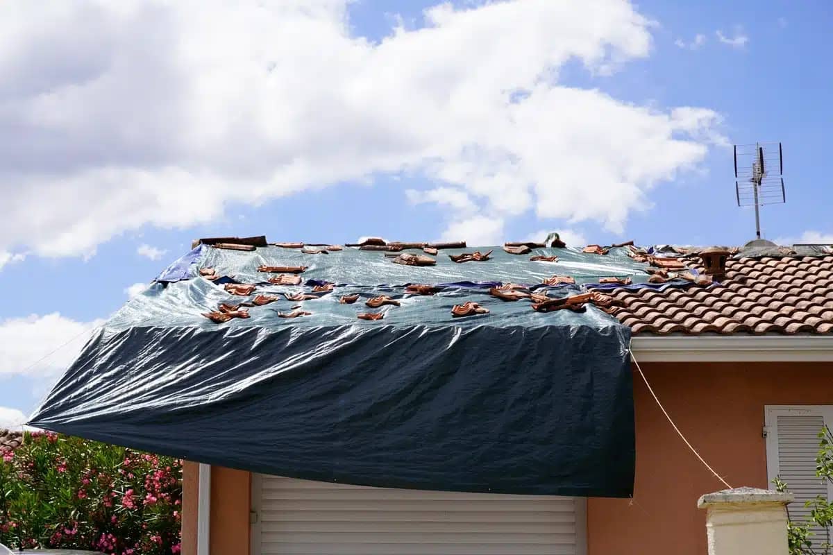 tarped-roof