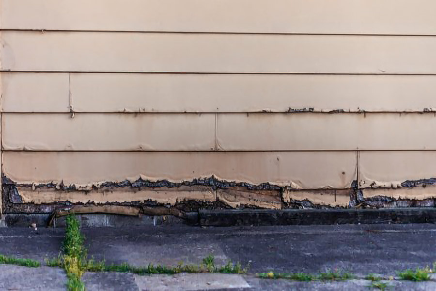 Repair or Replace Siding? Best Solution to Avoiding Further Damage to Vinyl Exterior-- Combat mold and mildew