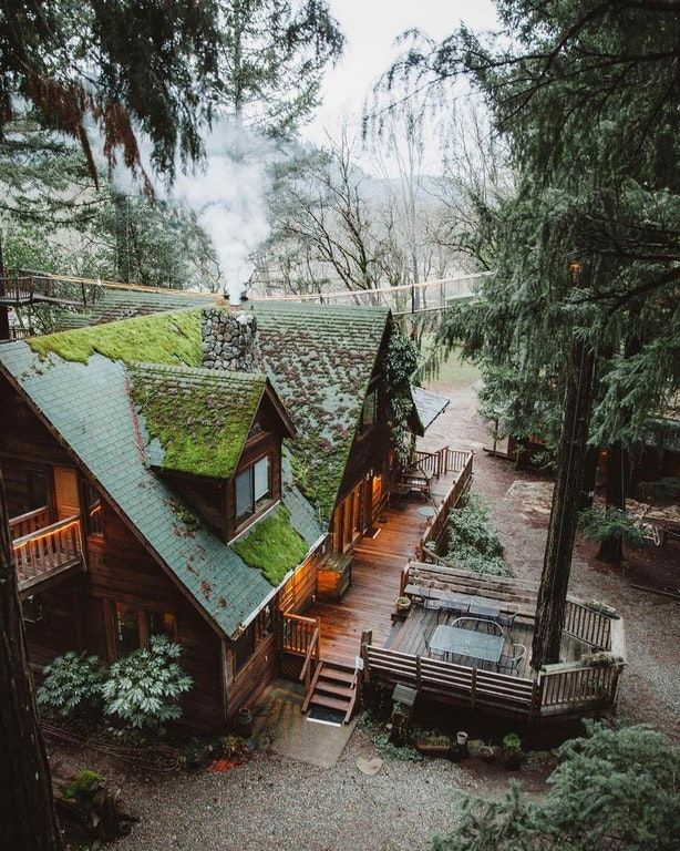 Pacific Northwest home covered in moss