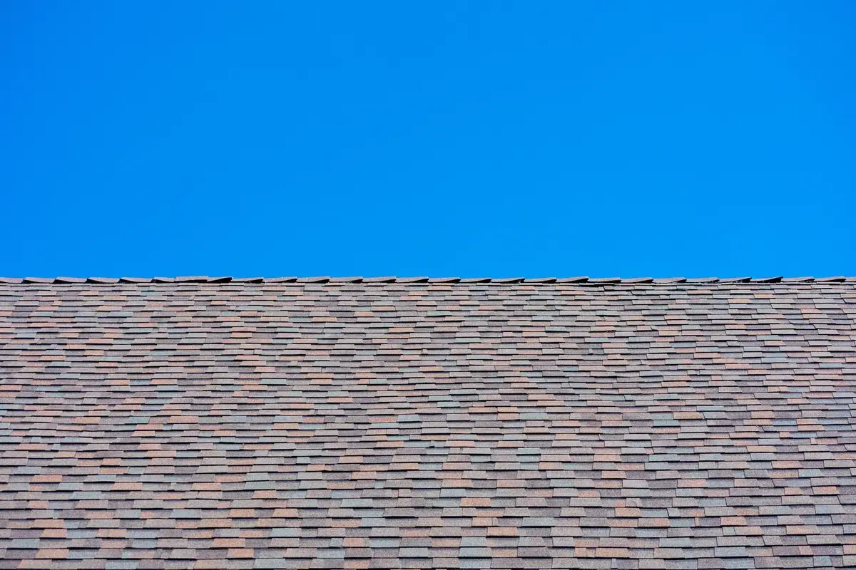 What Are Architectural Shingles? Everything You Need To Know